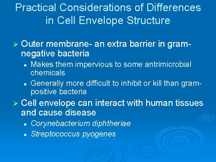 Practical Considerations of Differences in Cell Envelope Structure Ø Outer membrane- an extra barrier