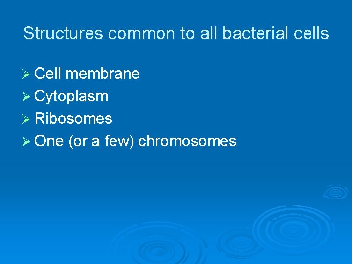 Structures common to all bacterial cells Ø Cell membrane Ø Cytoplasm Ø Ribosomes Ø