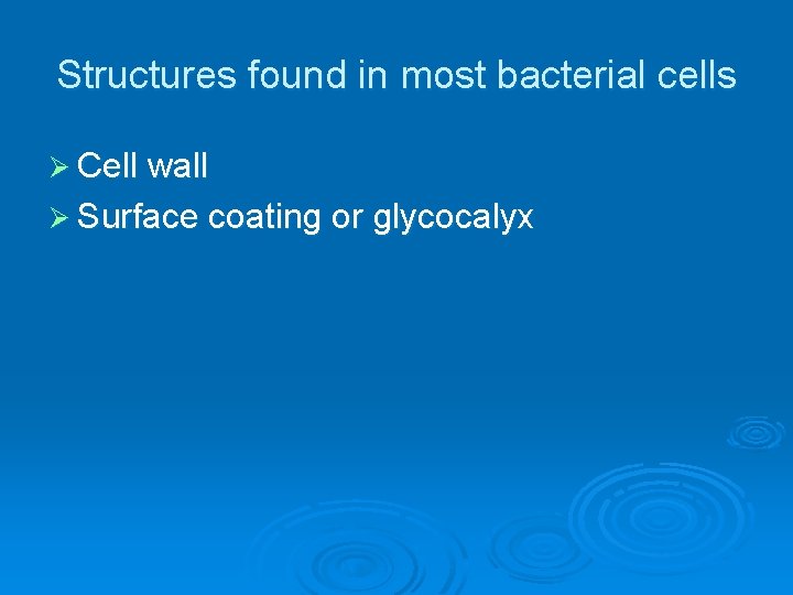 Structures found in most bacterial cells Ø Cell wall Ø Surface coating or glycocalyx