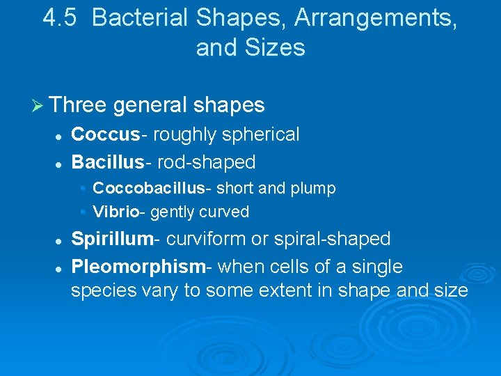 4. 5 Bacterial Shapes, Arrangements, and Sizes Ø Three general shapes l l Coccus-