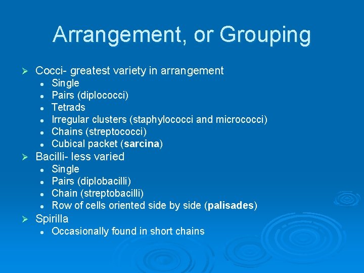 Arrangement, or Grouping Ø Cocci- greatest variety in arrangement l l l Ø Bacilli-