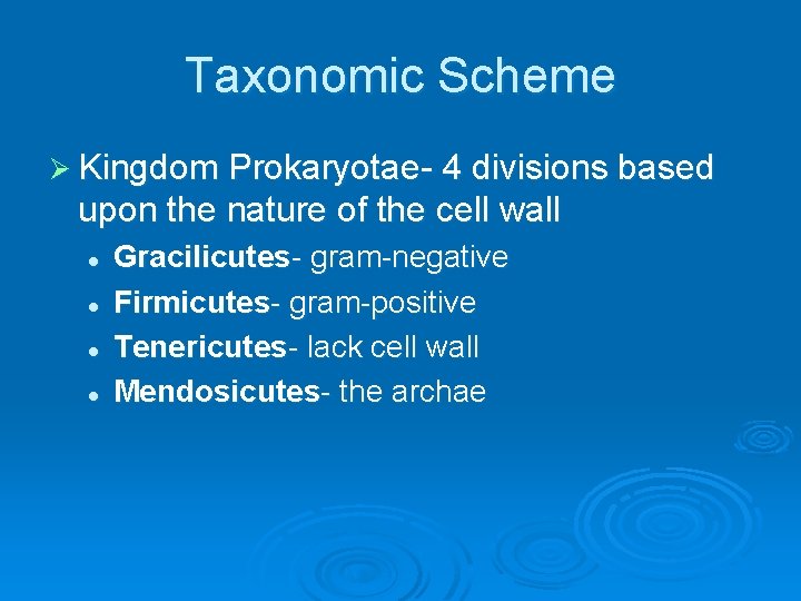 Taxonomic Scheme Ø Kingdom Prokaryotae- 4 divisions based upon the nature of the cell