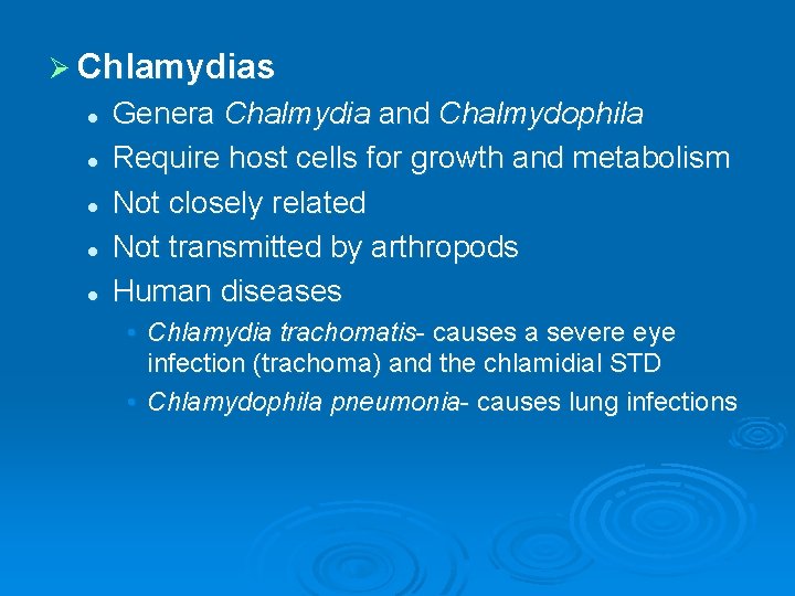 Ø Chlamydias l l l Genera Chalmydia and Chalmydophila Require host cells for growth