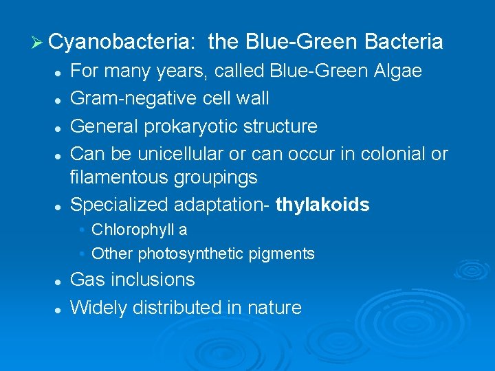 Ø Cyanobacteria: l l l the Blue-Green Bacteria For many years, called Blue-Green Algae