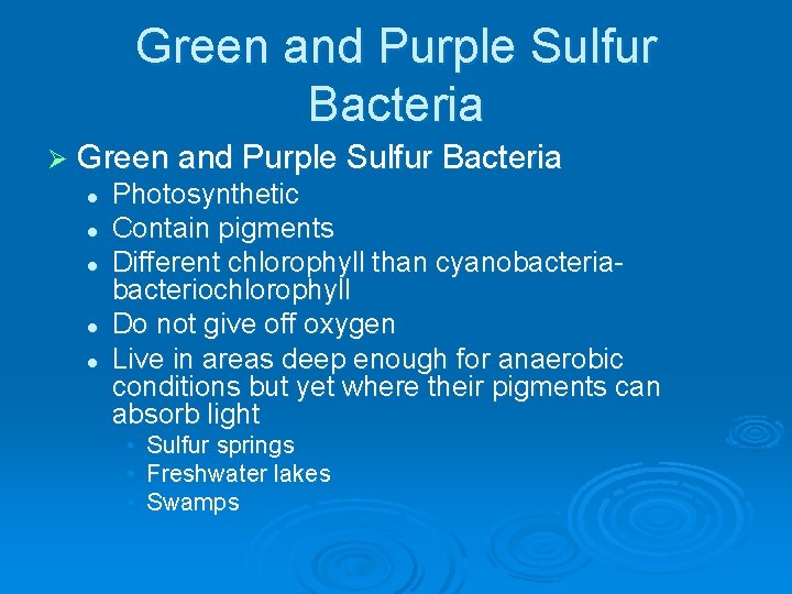 Green and Purple Sulfur Bacteria Ø Green and Purple Sulfur Bacteria l l l