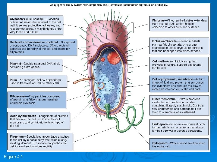 Figure 4. 1 