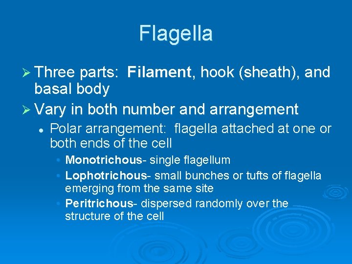 Flagella Ø Three parts: Filament, hook (sheath), and basal body Ø Vary in both