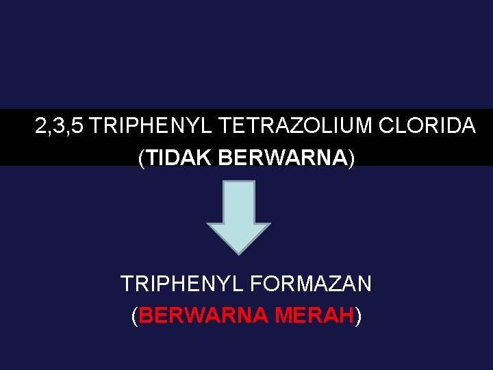 2, 3, 5 TRIPHENYL TETRAZOLIUM CLORIDA (TIDAK BERWARNA) TRIPHENYL FORMAZAN (BERWARNA MERAH) 