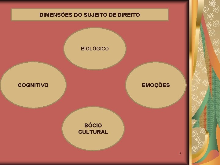 DIMENSÕES DO SUJEITO DE DIREITO BIOLÓGICO COGNITIVO EMOÇÕES SÓCIO CULTURAL 2 