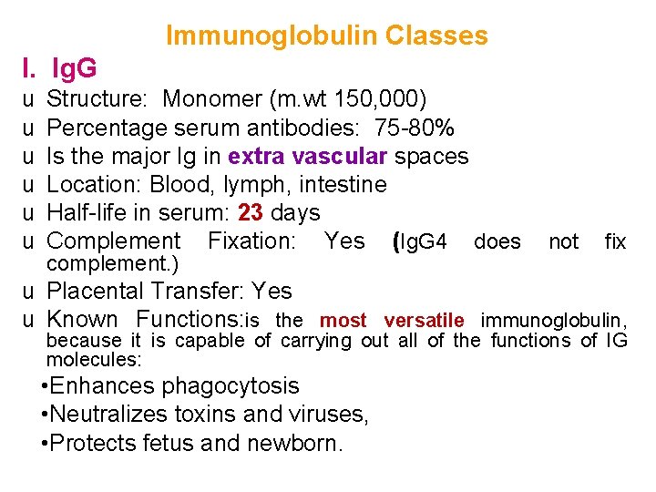 Immunoglobulin Classes I. Ig. G u u u Structure: Monomer (m. wt 150, 000)