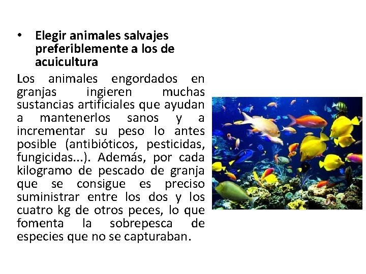  • Elegir animales salvajes preferiblemente a los de acuicultura Los animales engordados en