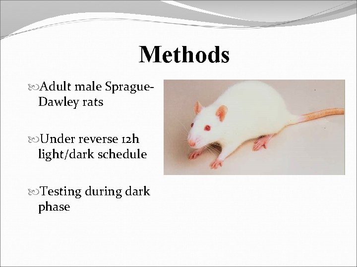 Methods Adult male Sprague. Dawley rats Under reverse 12 h light/dark schedule Testing during