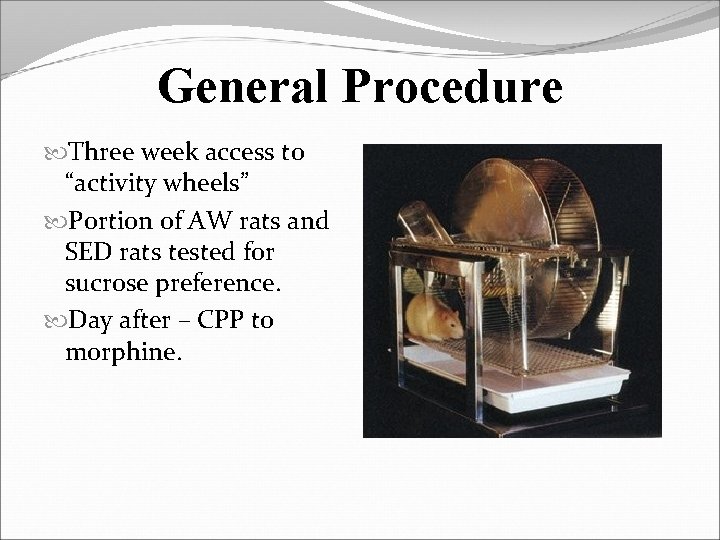 General Procedure Three week access to “activity wheels” Portion of AW rats and SED