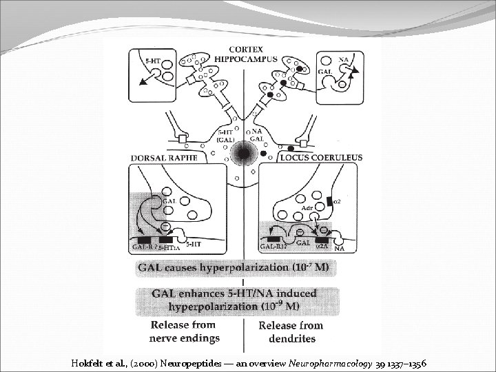 Hokfelt et al. , (2000) Neuropeptides — an overview Neuropharmacology 39 1337– 1356 