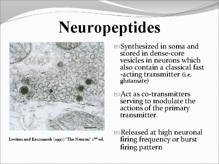 Neuropeptides Synthesized in soma and stored in dense-core vesicles in neurons which also contain