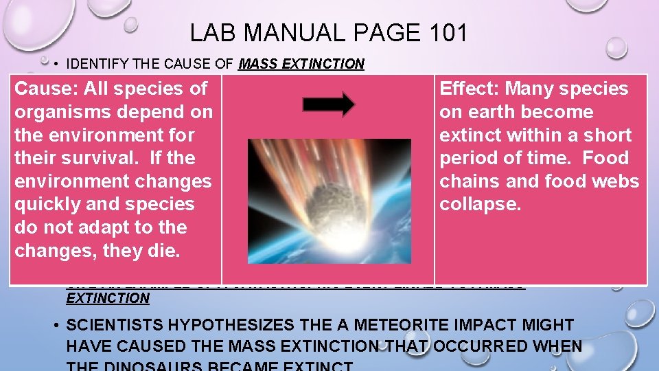 LAB MANUAL PAGE 101 • IDENTIFY THE CAUSE OF MASS EXTINCTION Cause: All species