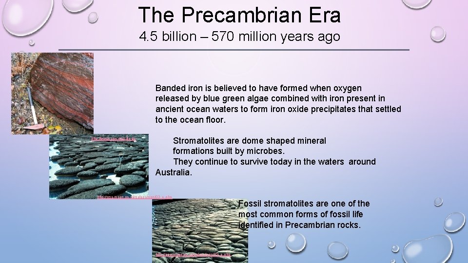 The Precambrian Era 4. 5 billion – 570 million years ago Banded iron is