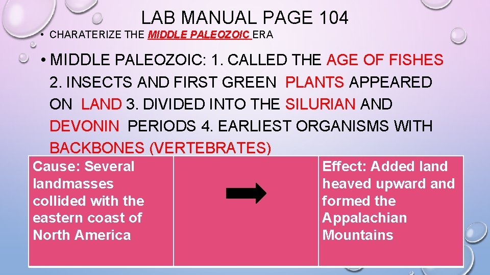 LAB MANUAL PAGE 104 • CHARATERIZE THE MIDDLE PALEOZOIC ERA • MIDDLE PALEOZOIC: 1.