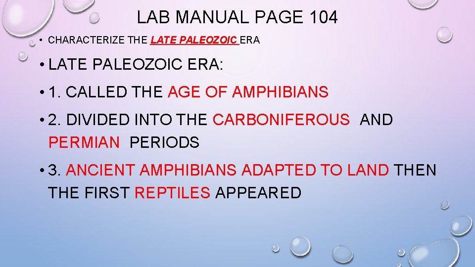 LAB MANUAL PAGE 104 • CHARACTERIZE THE LATE PALEOZOIC ERA • LATE PALEOZOIC ERA: