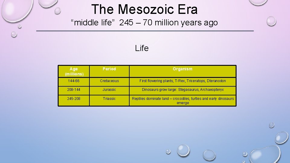 The Mesozoic Era “middle life” 245 – 70 million years ago Life Age (millions)