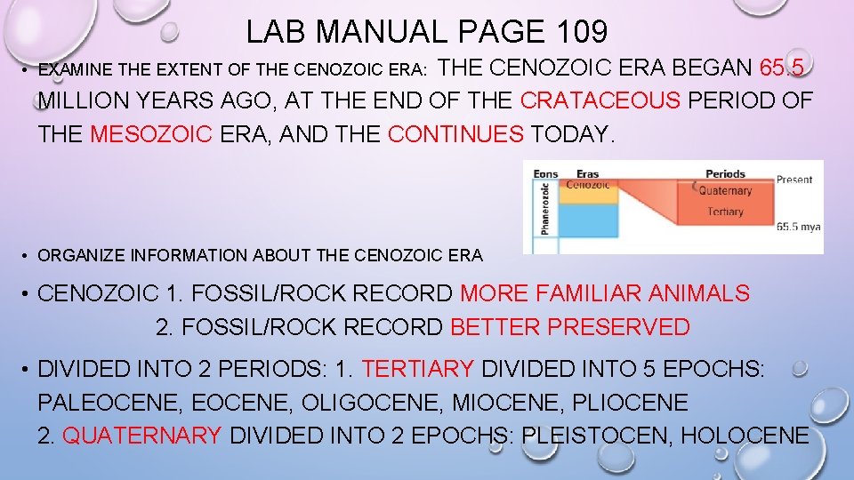 LAB MANUAL PAGE 109 THE CENOZOIC ERA BEGAN 65. 5 MILLION YEARS AGO, AT