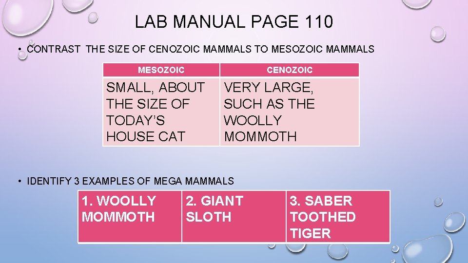 LAB MANUAL PAGE 110 • CONTRAST THE SIZE OF CENOZOIC MAMMALS TO MESOZOIC MAMMALS