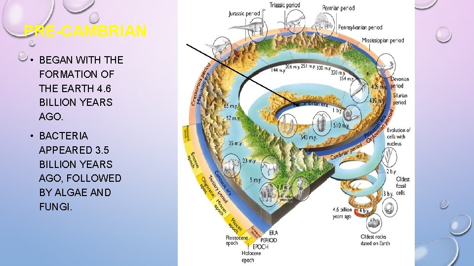 PRE-CAMBRIAN • BEGAN WITH THE FORMATION OF THE EARTH 4. 6 BILLION YEARS AGO.