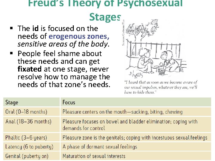 Freud’s Theory of Psychosexual Stages § The id is focused on the needs of