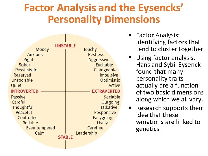 Factor Analysis and the Eysencks’ Personality Dimensions § Factor Analysis: Identifying factors that tend