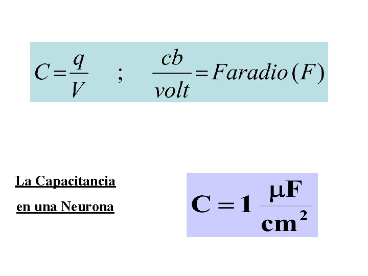 La Capacitancia en una Neurona 