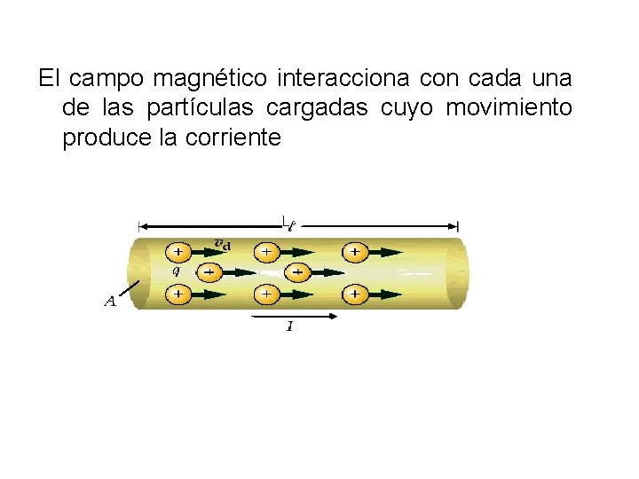 El campo magnético interacciona con cada una de las partículas cargadas cuyo movimiento produce