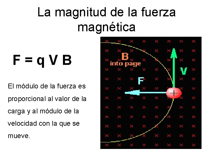 La magnitud de la fuerza magnética F = q V B El módulo de