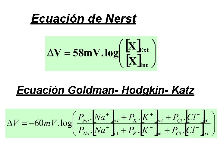 Ecuación de Nerst Ecuación Goldman- Hodgkin- Katz 