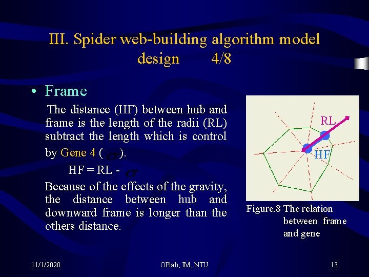III. Spider web-building algorithm model design 4/8 • Frame The distance (HF) between hub