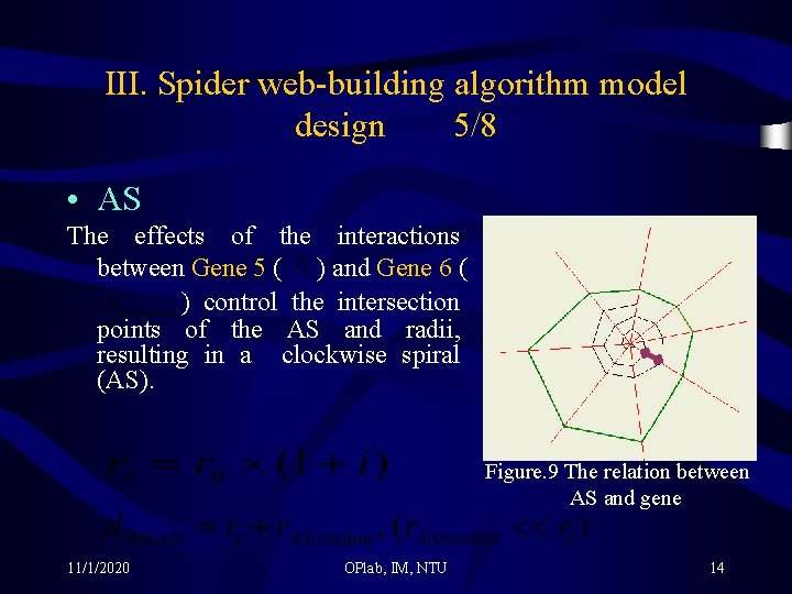 III. Spider web-building algorithm model design 5/8 • AS The effects of the interactions