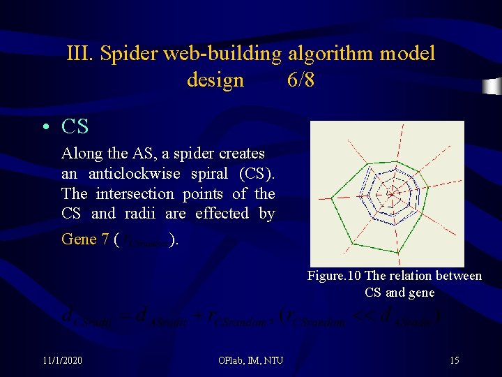 III. Spider web-building algorithm model design 6/8 • CS Along the AS, a spider