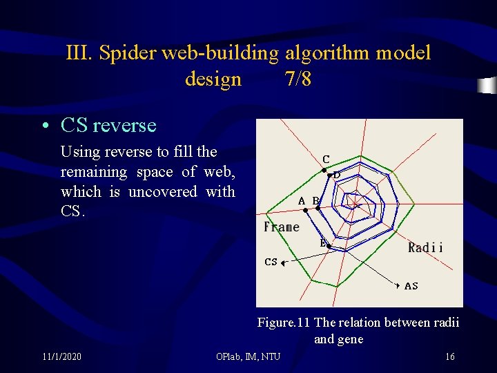 III. Spider web-building algorithm model design 7/8 • CS reverse Using reverse to fill