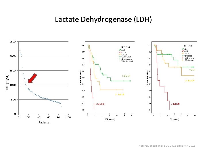 Lactate Dehydrogenase (LDH) 2500 2000 <ULN LDH (mg/dl) 1500 >2 x. ULN 1 -2