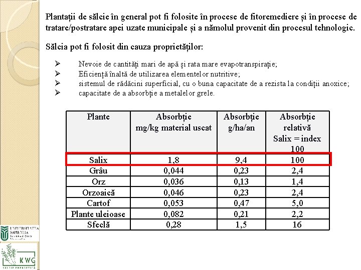 Plantații de sălcie în general pot fi folosite în procese de fitoremediere și în