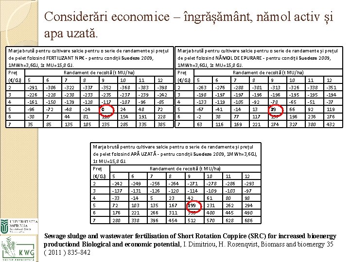 Considerări economice – îngrășământ, nămol activ și apa uzată. Marja brută pentru cultivare salcie