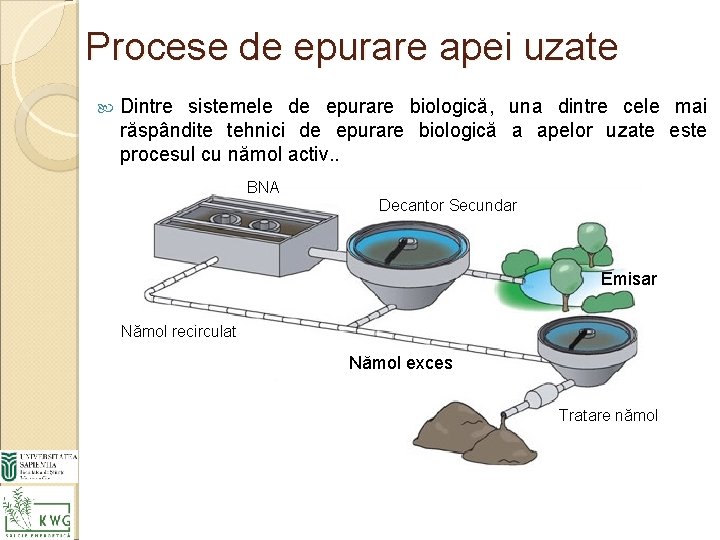 Procese de epurare apei uzate Dintre sistemele de epurare biologică, una dintre cele mai