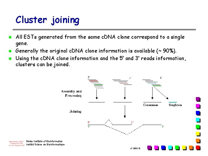 Cluster joining n n n All ESTs generated from the same c. DNA clone