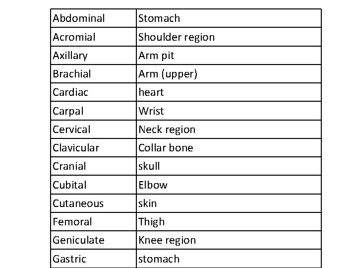 Abdominal Stomach Acromial Shoulder region Axillary Arm pit Brachial Arm (upper) Cardiac heart Carpal