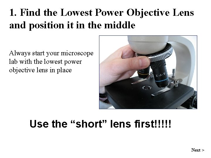 1. Find the Lowest Power Objective Lens and position it in the middle Always