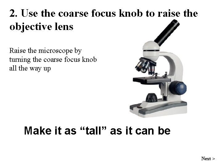 2. Use the coarse focus knob to raise the objective lens Raise the microscope