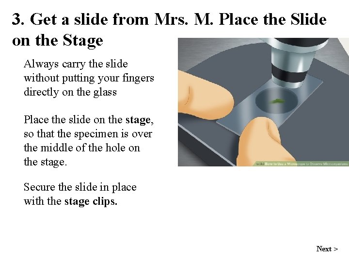 3. Get a slide from Mrs. M. Place the Slide on the Stage Always