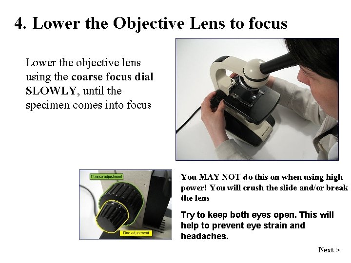 4. Lower the Objective Lens to focus Lower the objective lens using the coarse