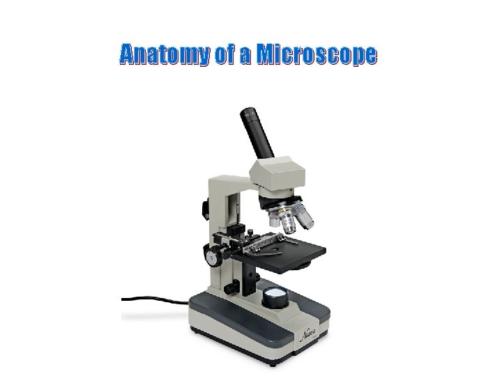 Anatomy of a Microscope 