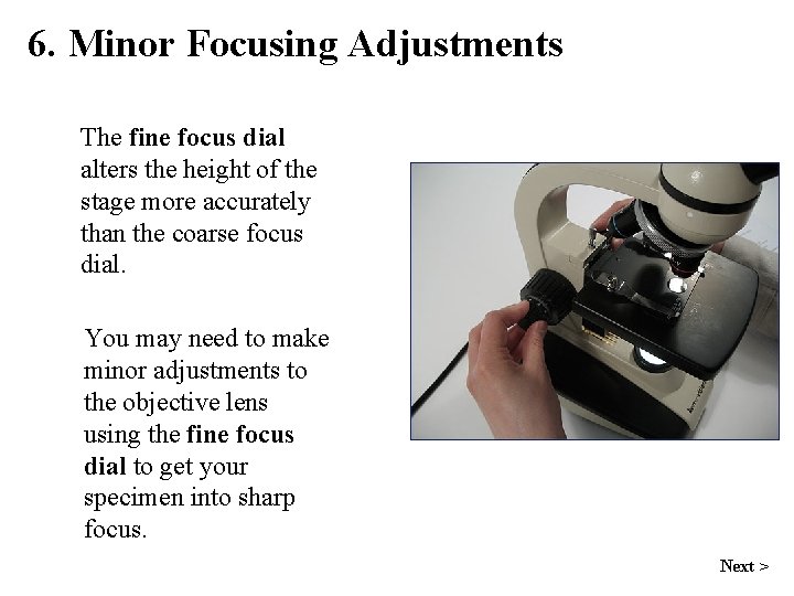 6. Minor Focusing Adjustments The fine focus dial alters the height of the stage