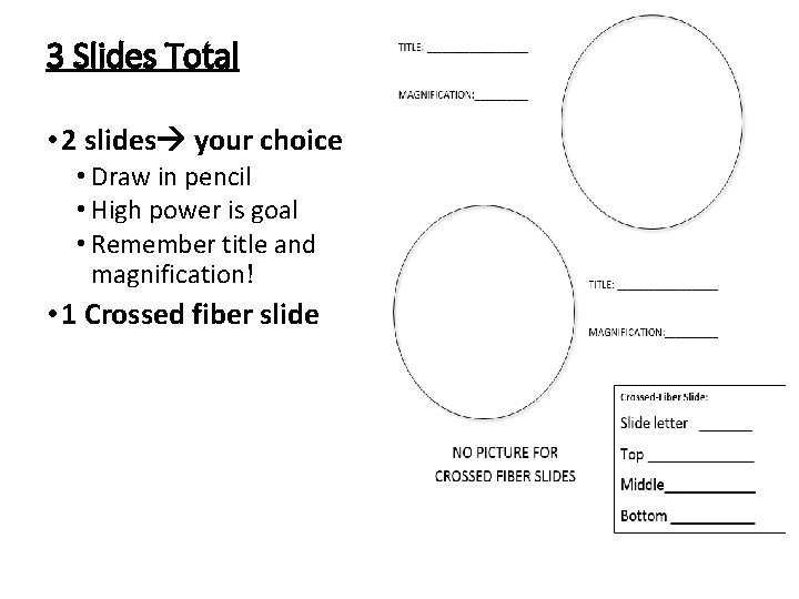 3 Slides Total • 2 slides your choice • Draw in pencil • High